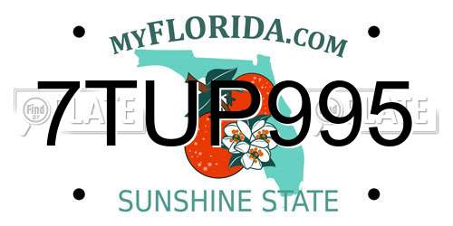 7TUP995 Florida License Plate