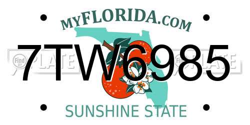 7TW6985 Florida License Plate