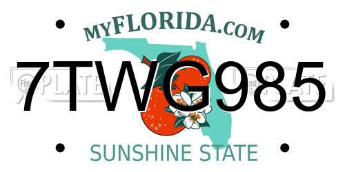 7TWG985 Florida License Plate
