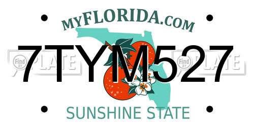 7TYM527 Florida License Plate