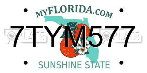 7TYM577 Florida License Plate