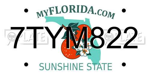 7TYM822 Florida License Plate