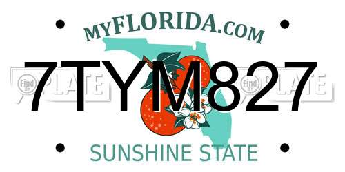 7TYM827 Florida License Plate