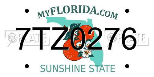 7TZ0276 Florida License Plate