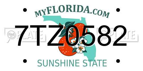 7TZ0582 Florida License Plate