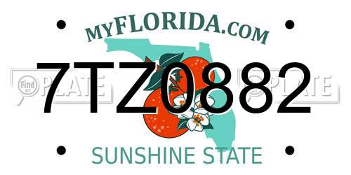 7TZ0882 Florida License Plate