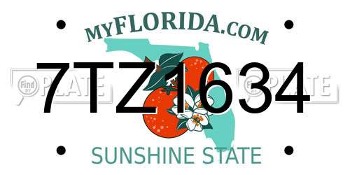 7TZ1634 Florida License Plate