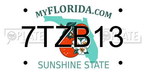 7TZB13 Florida License Plate