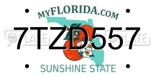 7TZD557 Florida License Plate