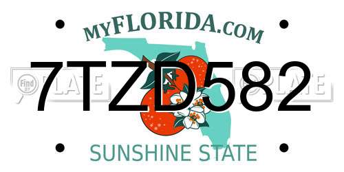 7TZD582 Florida License Plate
