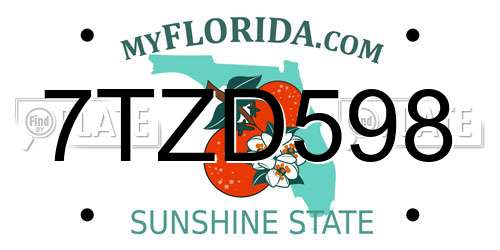 7TZD598 Florida License Plate