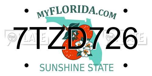 7TZD726 Florida License Plate