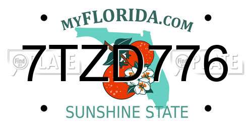 7TZD776 Florida License Plate
