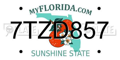 7TZD857 Florida License Plate