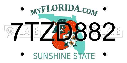 7TZD882 Florida License Plate
