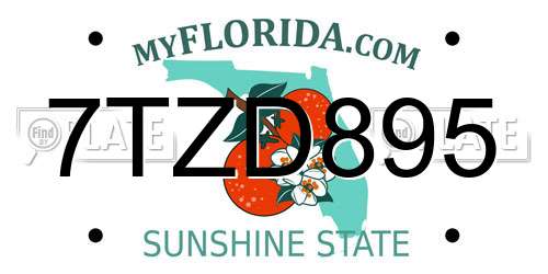 7TZD895 Florida License Plate