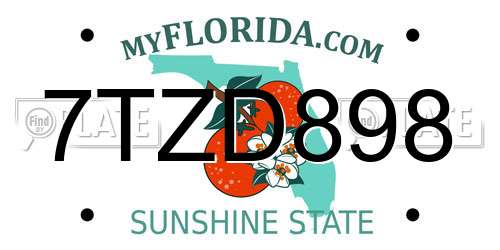 7TZD898 Florida License Plate