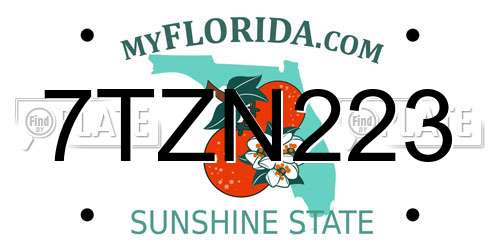 7TZN223 Florida License Plate