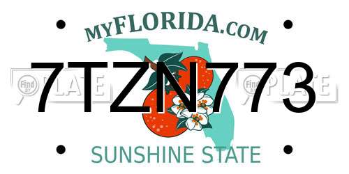 7TZN773 Florida License Plate
