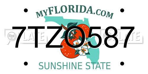 7TZO587 Florida License Plate