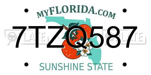 7TZQ587 Florida License Plate