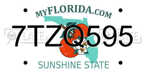 7TZQ595 Florida License Plate