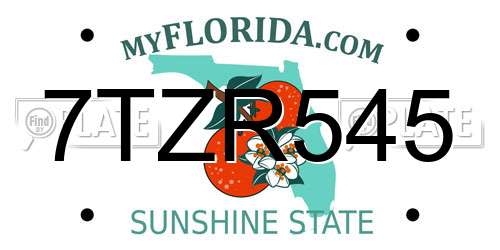 7TZR545 Florida License Plate