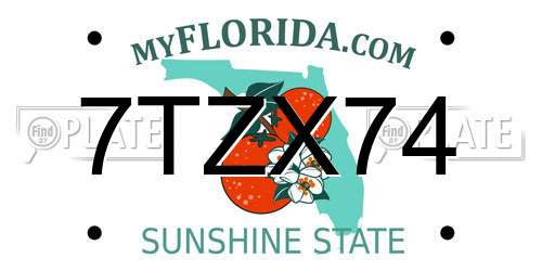 7TZX74 Florida License Plate