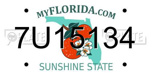 7U15134 Florida License Plate
