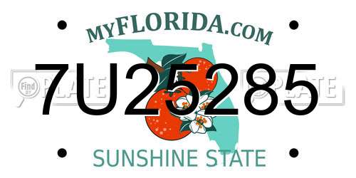7U25285 Florida License Plate