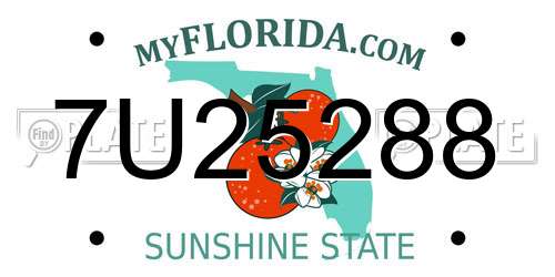 7U25288 Florida License Plate