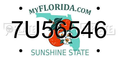 7U56546 Florida License Plate