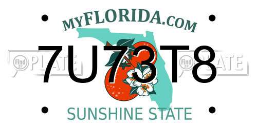 7U73T8 Florida License Plate