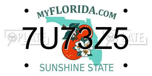 7U73Z5 Florida License Plate