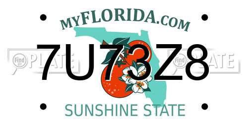 7U73Z8 Florida License Plate