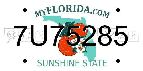 7U75285 Florida License Plate