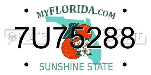 7U75288 Florida License Plate