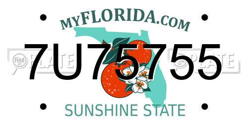 7U75755 Florida License Plate