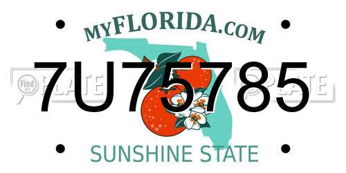 7U75785 Florida License Plate