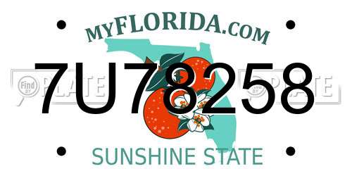7U78258 Florida License Plate