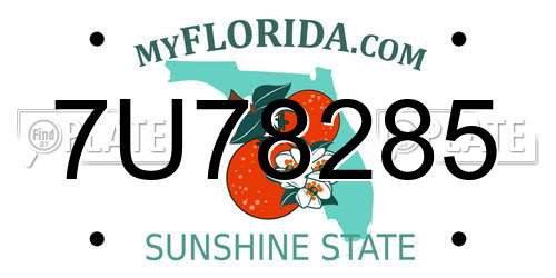 7U78285 Florida License Plate
