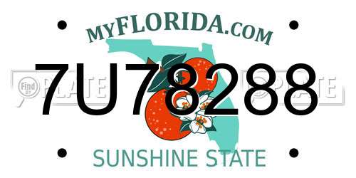 7U78288 Florida License Plate