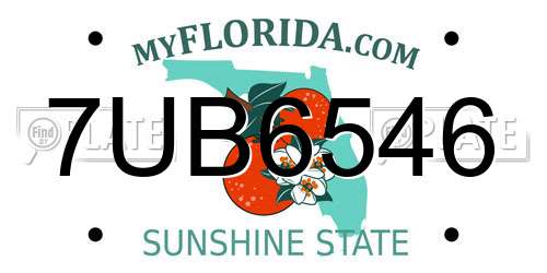 7UB6546 Florida License Plate