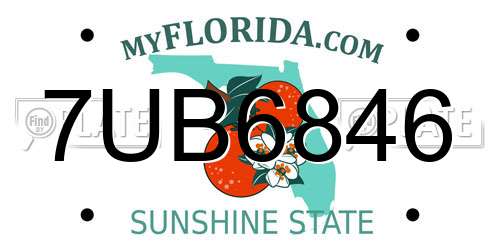 7UB6846 Florida License Plate