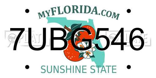 7UBG546 Florida License Plate