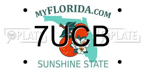 7UCB Florida License Plate