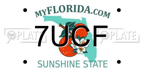 7UCF Florida License Plate