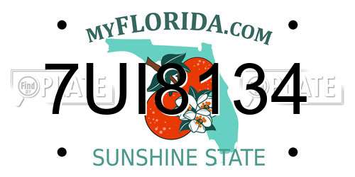 7UI8134 Florida License Plate
