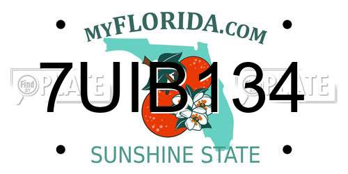 7UIB134 Florida License Plate