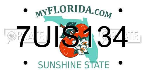7UIS134 Florida License Plate